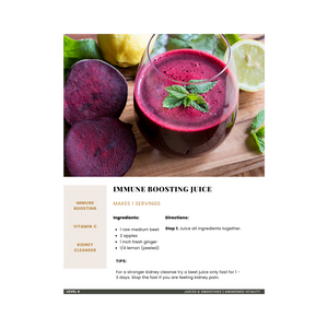 Raw Vegan Transition Guide & Recipe E-book