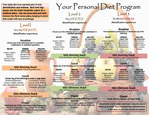 Detox Diet Recommendations FREE PDF
